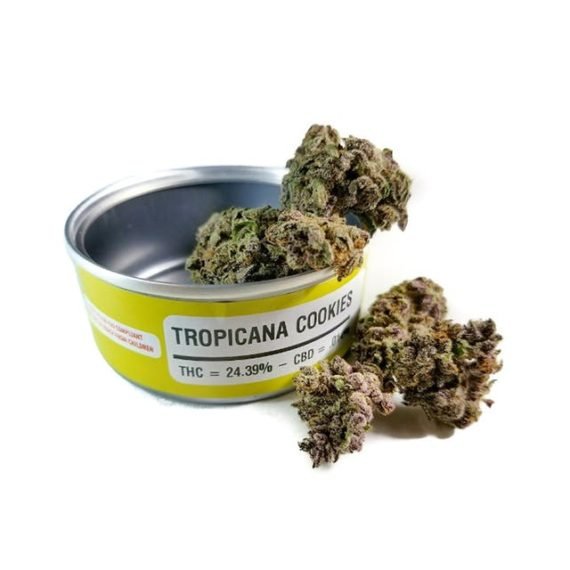 Tropicana Cookies