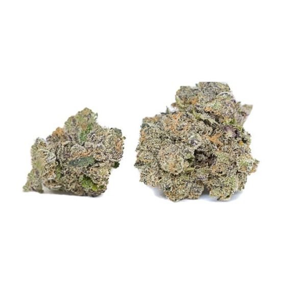 Gelato