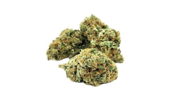 Blueberry Bomb