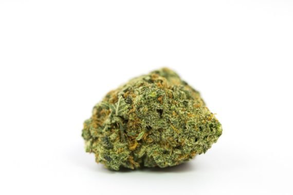 Blueberry Kush