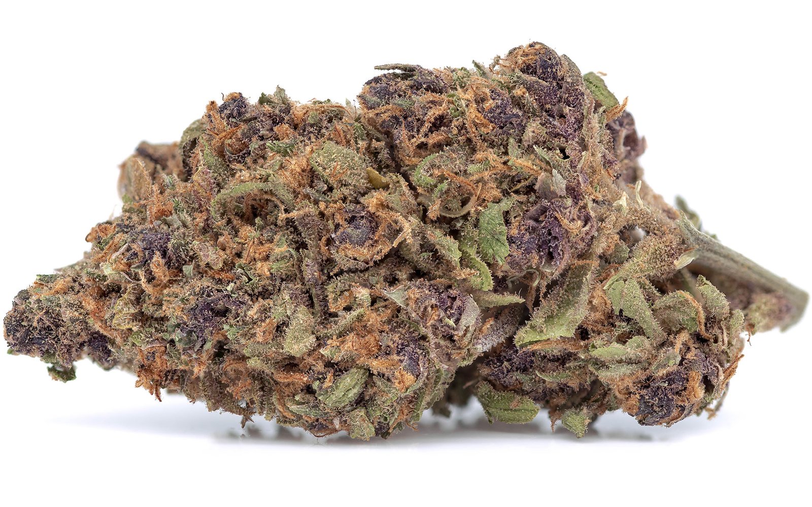 Forbidden Fruit