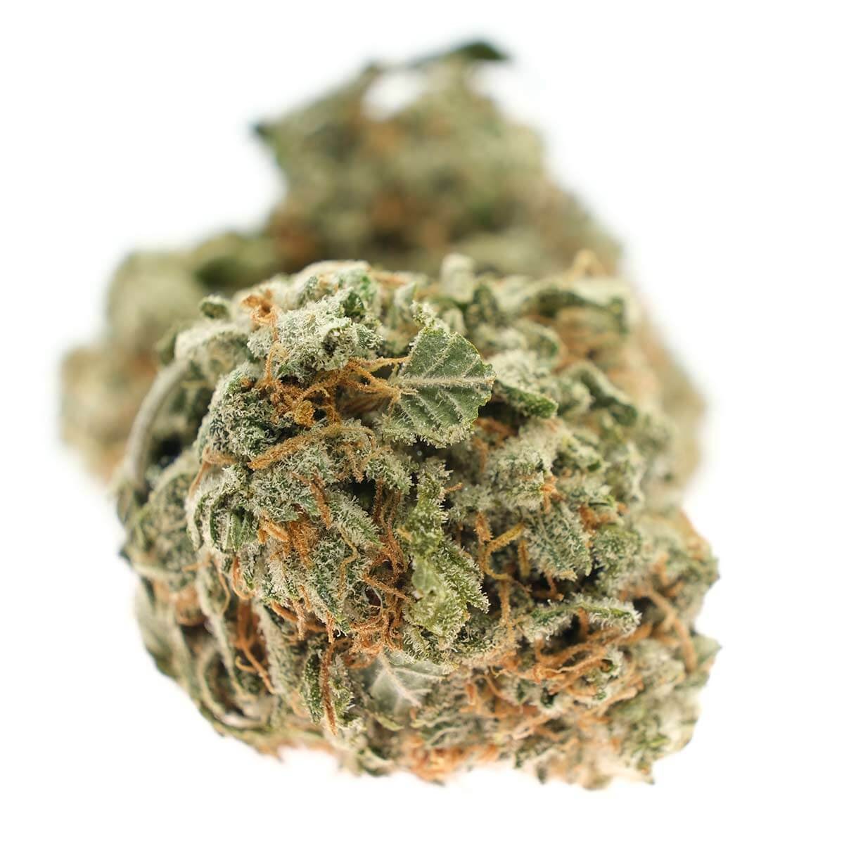 Gold Kush
