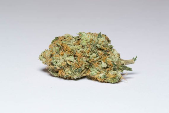 Gorilla Glue 5