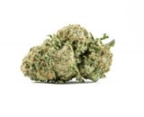 Juicy Fruit