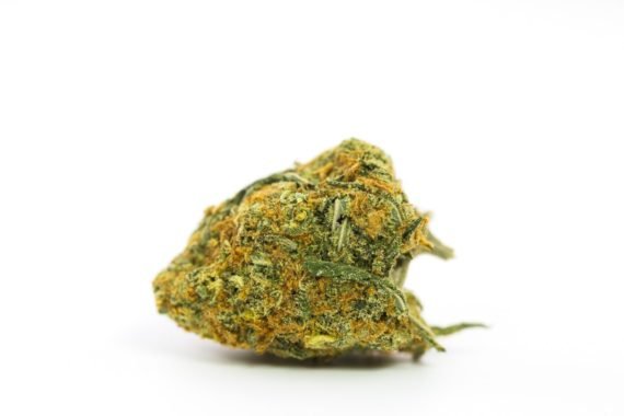 Lemon Kush