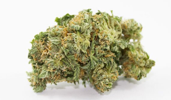 Mazar Kush