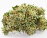 Mazar Kush