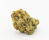 Pink Bubba