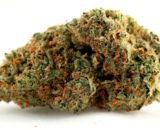 Skunk kush
