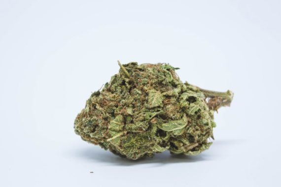 Blueberry Haze