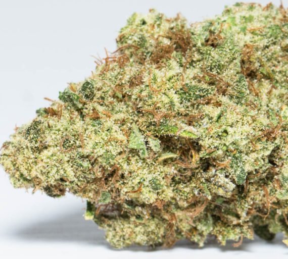 Zeus OG