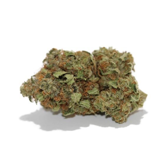 Afghani