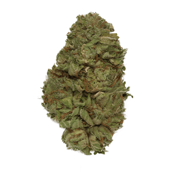 Animal Gas