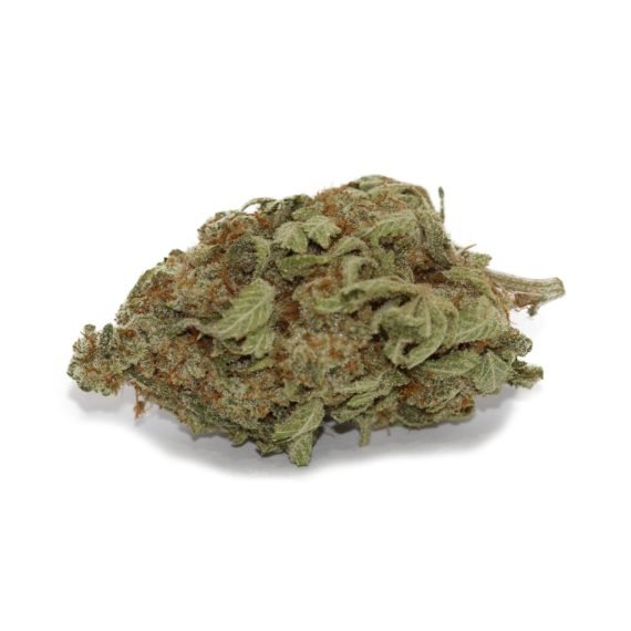 Bruce Banner