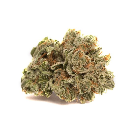 Alien Dawg