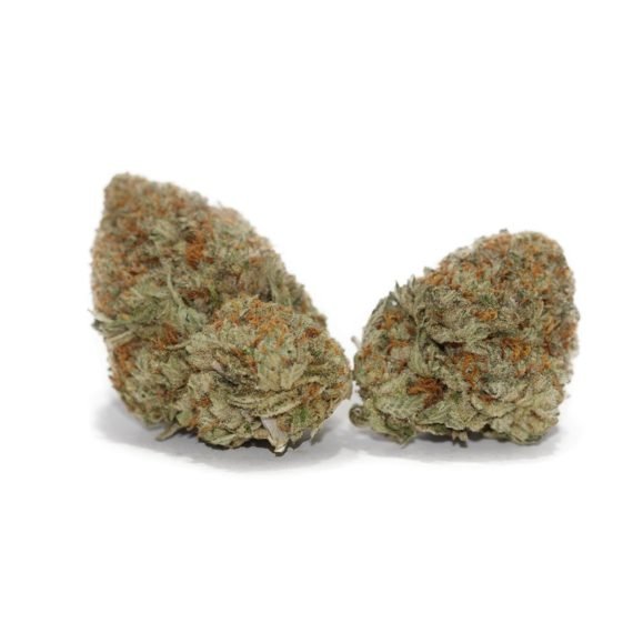 Grease Monkey
