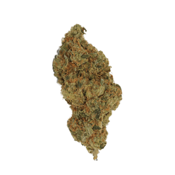 Jack Herer