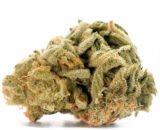 Lemon Kush