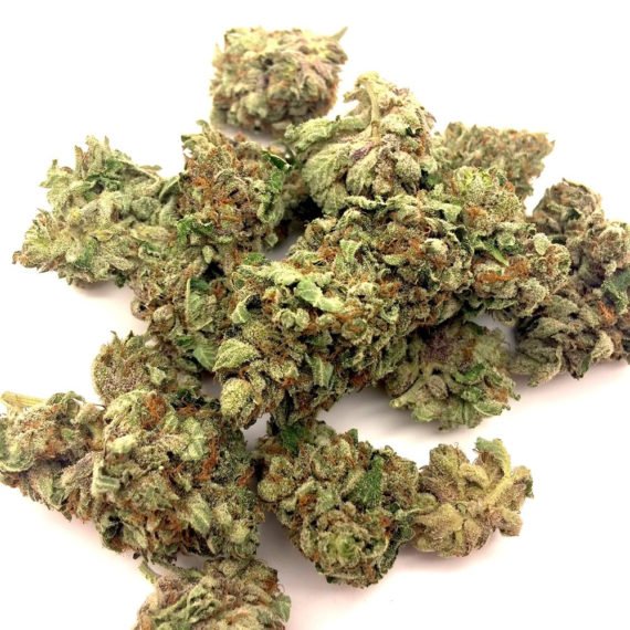 Pink Bubba