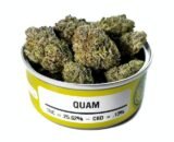 Quam