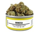 Mimosa