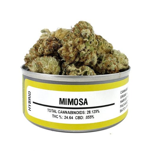 Mimosa